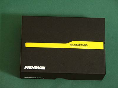 FISHMAN M-100